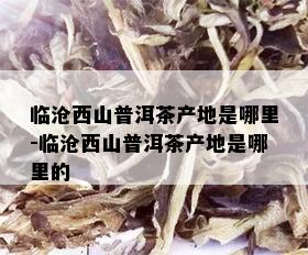 临沧西山普洱茶产地是哪里-临沧西山普洱茶产地是哪里的