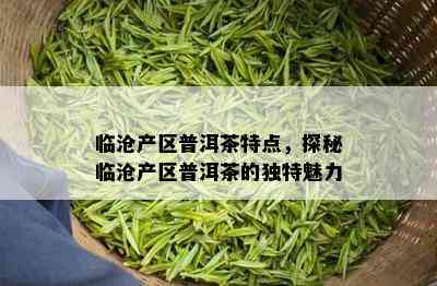 临沧产区普洱茶特点，探秘临沧产区普洱茶的独特魅力