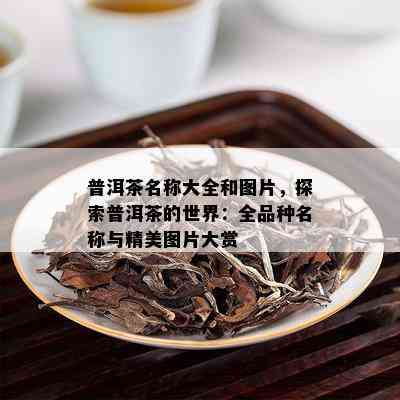 普洱茶名称大全和图片，探索普洱茶的世界：全品种名称与精美图片大赏