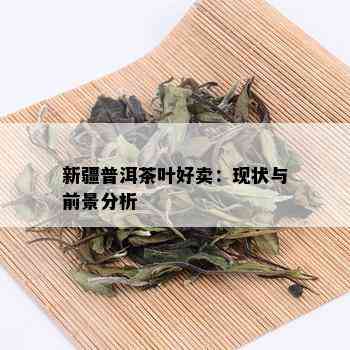 新疆普洱茶叶好卖：现状与前景分析