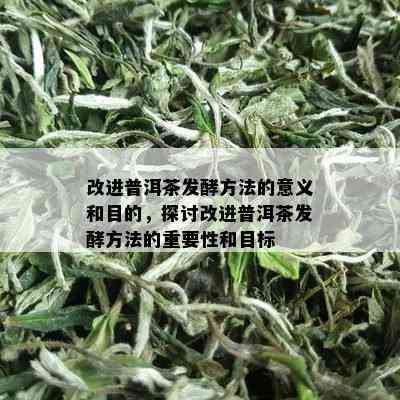 改进普洱茶发酵方法的意义和目的，探讨改进普洱茶发酵方法的重要性和目标