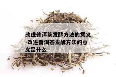 改进普洱茶发酵方法的意义-改进普洱茶发酵方法的意义是什么