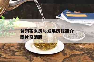 普洱茶来历与发展历程简介图片高清版