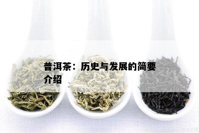 普洱茶：历史与发展的简要介绍