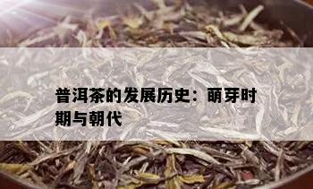 普洱茶的发展历史：萌芽时期与朝代