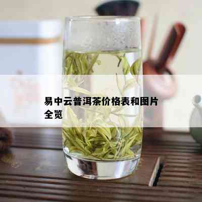 易中云普洱茶价格表和图片全览