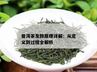 普洱茶发酵原理详解：从定义到过程全解析