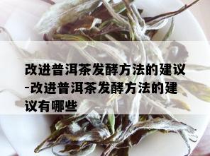 改进普洱茶发酵方法的建议-改进普洱茶发酵方法的建议有哪些