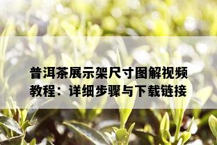 普洱茶展示架尺寸图解视频教程：详细步骤与下载链接