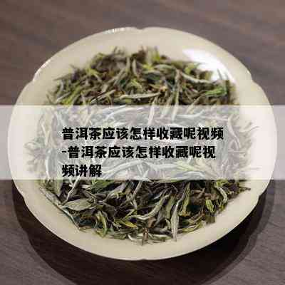 普洱茶应该怎样收藏呢视频-普洱茶应该怎样收藏呢视频讲解