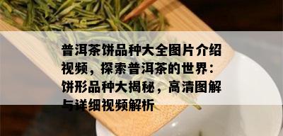 普洱茶饼品种大全图片介绍视频，探索普洱茶的世界：饼形品种大揭秘，高清图解与详细视频解析