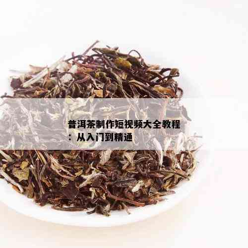 普洱茶制作短视频大全教程：从入门到精通