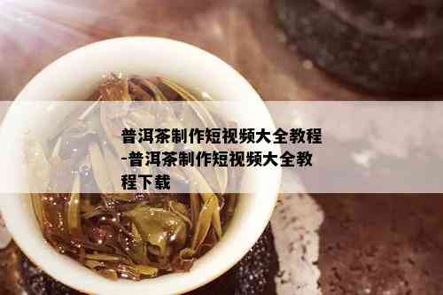 普洱茶制作短视频大全教程-普洱茶制作短视频大全教程下载