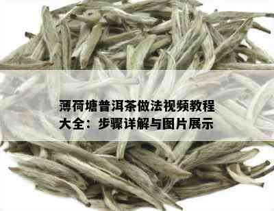 薄荷塘普洱茶做法视频教程大全：步骤详解与图片展示