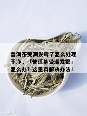 普洱茶受潮发霉了怎么处理干净，「普洱茶受潮发霉」怎么办？这里有解决办法！