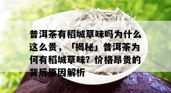 普洱茶有稻城草味吗为什么这么贵，「揭秘」普洱茶为何有稻城草味？价格昂贵的背后原因解析