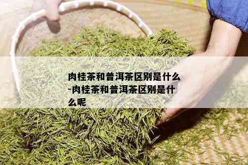 肉桂茶和普洱茶区别是什么-肉桂茶和普洱茶区别是什么呢