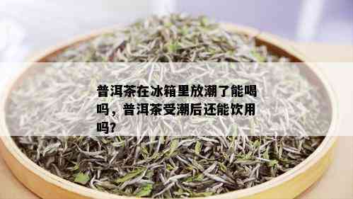 普洱茶在冰箱里放潮了能喝吗，普洱茶受潮后还能饮用吗？