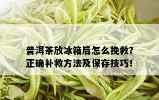 普洱茶放冰箱后怎么挽救？正确补救方法及保存技巧！