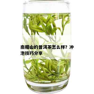 南糯山的普洱茶怎么样？冲泡技巧分享