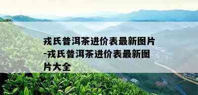 戎氏普洱茶进价表最新图片-戎氏普洱茶进价表最新图片大全