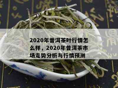 2020年普洱茶叶行情怎么样，2020年普洱茶市场走势分析与行情预测