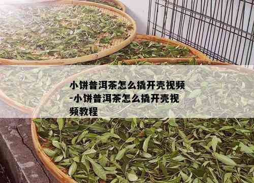 小饼普洱茶怎么撬开壳视频-小饼普洱茶怎么撬开壳视频教程