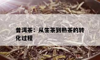 普洱茶：从生茶到熟茶的转化过程