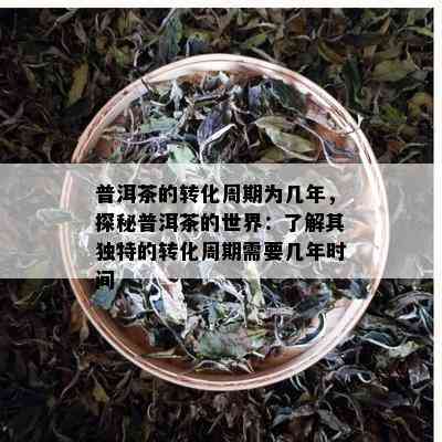 普洱茶的转化周期为几年，探秘普洱茶的世界：了解其独特的转化周期需要几年时间