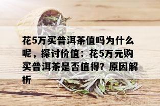 花5万买普洱茶值吗为什么呢，探讨价值：花5万元购买普洱茶是否值得？原因解析