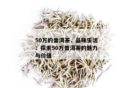 50万的普洱茶，品味生活：探索50万普洱茶的魅力与价值