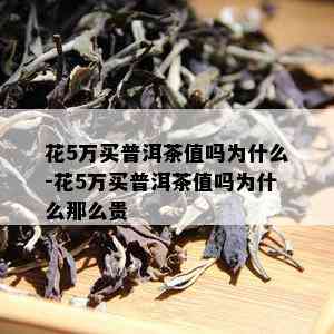 花5万买普洱茶值吗为什么-花5万买普洱茶值吗为什么那么贵