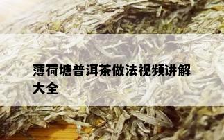 薄荷塘普洱茶做法视频讲解大全