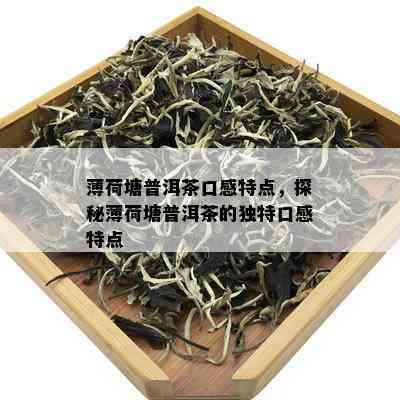 薄荷塘普洱茶口感特点，探秘薄荷塘普洱茶的独特口感特点