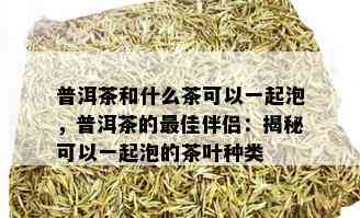 普洱茶和什么茶可以一起泡，普洱茶的更佳伴侣：揭秘可以一起泡的茶叶种类