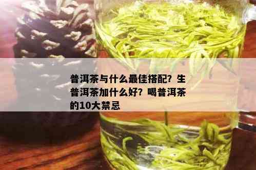 普洱茶与什么更佳搭配？生普洱茶加什么好？喝普洱茶的10大禁忌