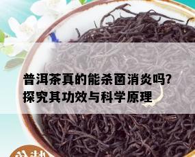 普洱茶真的能杀菌消炎吗？探究其功效与科学原理