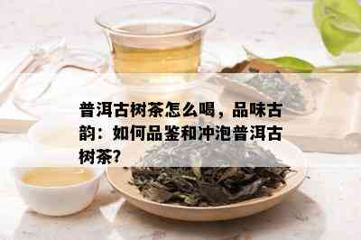 普洱古树茶怎么喝，品味古韵：如何品鉴和冲泡普洱古树茶？