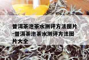 普洱茶泡茶水测评方法图片-普洱茶泡茶水测评方法图片大全