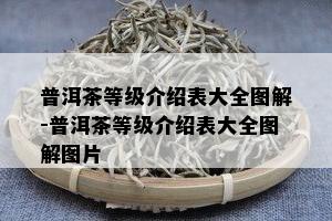 普洱茶等级介绍表大全图解-普洱茶等级介绍表大全图解图片