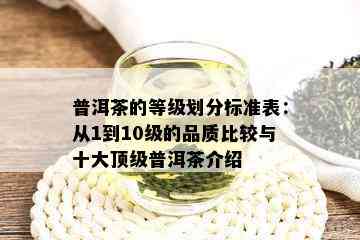 普洱茶的等级划分标准表：从1到10级的品质比较与十大顶级普洱茶介绍