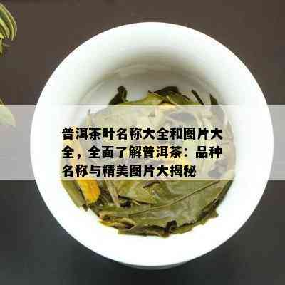 普洱茶叶名称大全和图片大全，全面了解普洱茶：品种名称与精美图片大揭秘