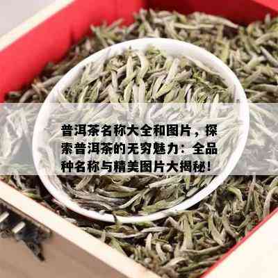 普洱茶名称大全和图片，探索普洱茶的无穷魅力：全品种名称与精美图片大揭秘！