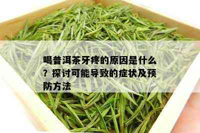 喝普洱茶牙疼的原因是什么？探讨可能导致的症状及预防方法