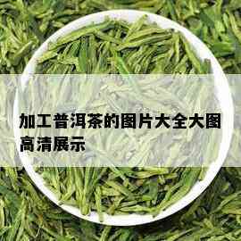 加工普洱茶的图片大全大图高清展示