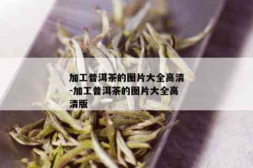 加工普洱茶的图片大全高清-加工普洱茶的图片大全高清版