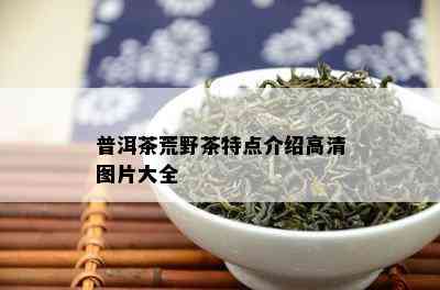 普洱茶荒野茶特点介绍高清图片大全