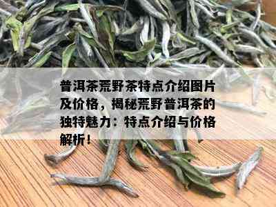 普洱茶荒野茶特点介绍图片及价格，揭秘荒野普洱茶的独特魅力：特点介绍与价格解析！