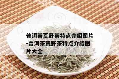 普洱茶荒野茶特点介绍图片-普洱茶荒野茶特点介绍图片大全