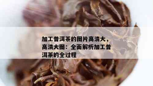 加工普洱茶的图片高清大，高清大图：全面解析加工普洱茶的全过程